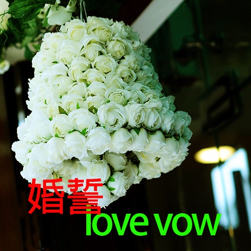 Love Vow 盟誓
