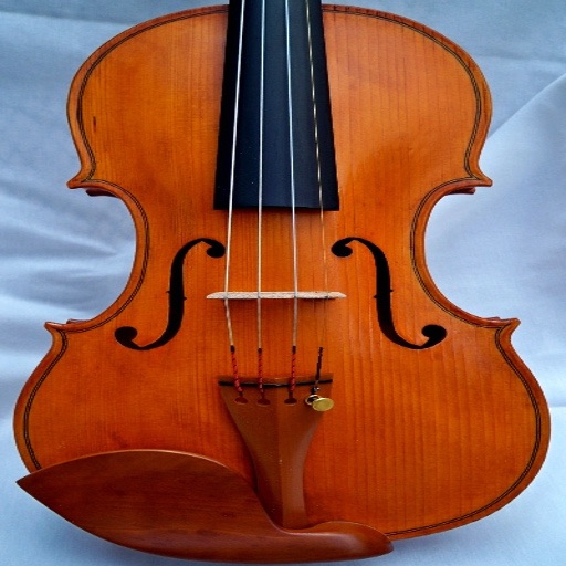 Violins