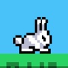 Rapid Rabbit