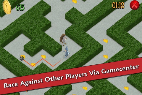 Go Cheese - Critter Maze Race screenshot 3