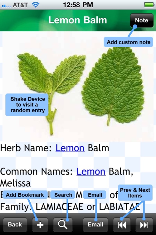Medicinal Herbs Encyclopedia screenshot-4