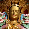 The Gospel of Buddha: Compiled from ancient records