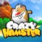 Crazy Hamster