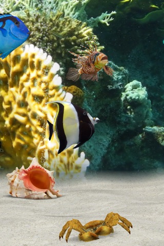 MyReef 3D Aquarium 2 HD screenshot 2