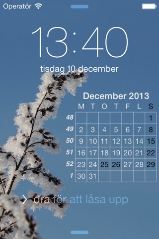 Kalender på låsskärmen screenshot 2