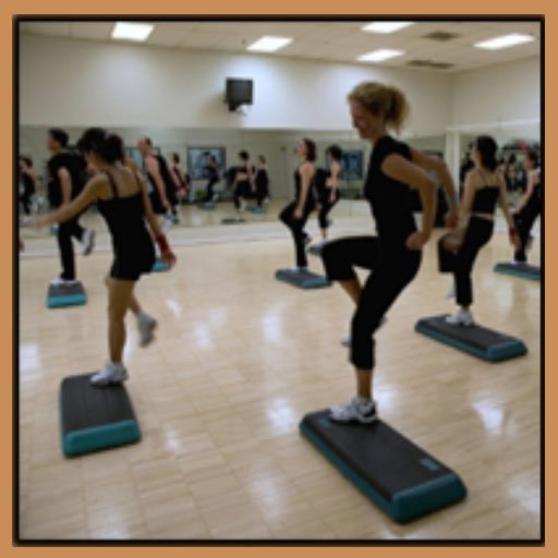 Aerobic And Fitness Exercises icon