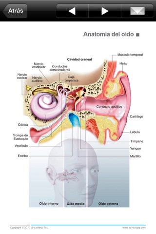 Miniatlas Ear, Nose & Throat screenshot 2