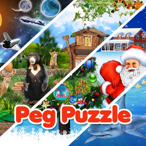 Peg Puzzle Icon