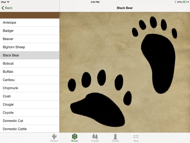 Bushcraft HD screenshot-4