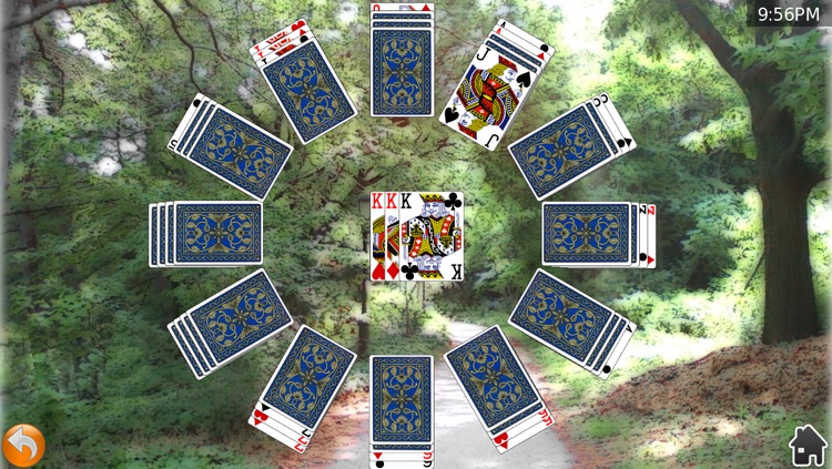 Card Shark Collection™ (Deluxe) screenshot-4