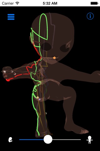 Acupuncture Meridians from Thalamic Neuron Theory screenshot 3