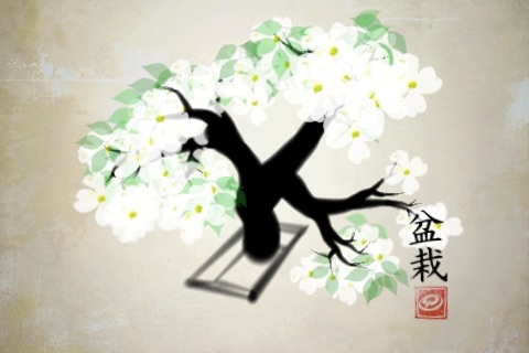 iBonsai