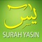 This application provide Surah Yasin with Arabic text for recitation along with its Malay translation for understanding the Holy verses of Surah Yasin