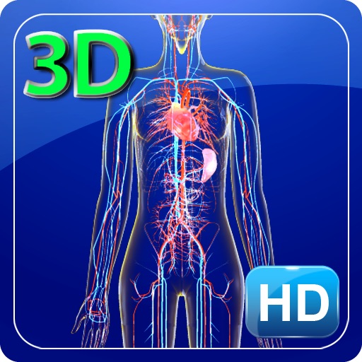 3D Human Circulation System HD