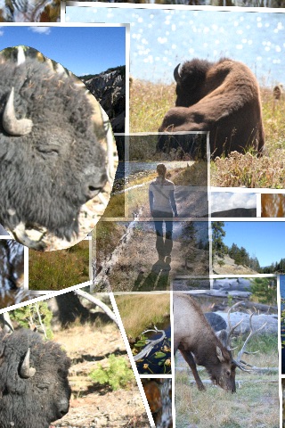 Collage