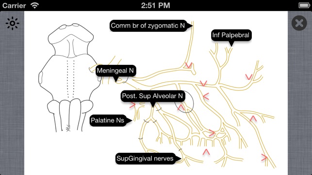 Cranial Nerves ~ Pocket Clinical Resource(圖3)-速報App