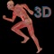 This app is a compilation of numbers images and illustrations of the Human Anatomy, Skeletal, Circulatory, Digestive, Respiratory, Urinary, Muscular Systems