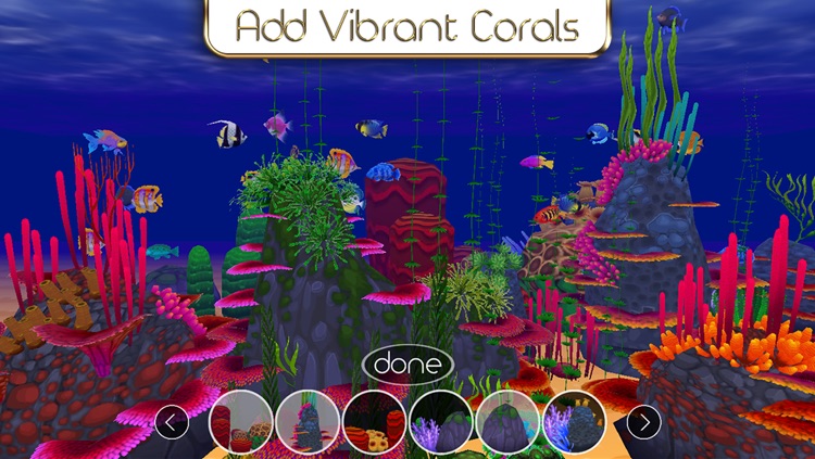 Coral Reef Fish Aquarium