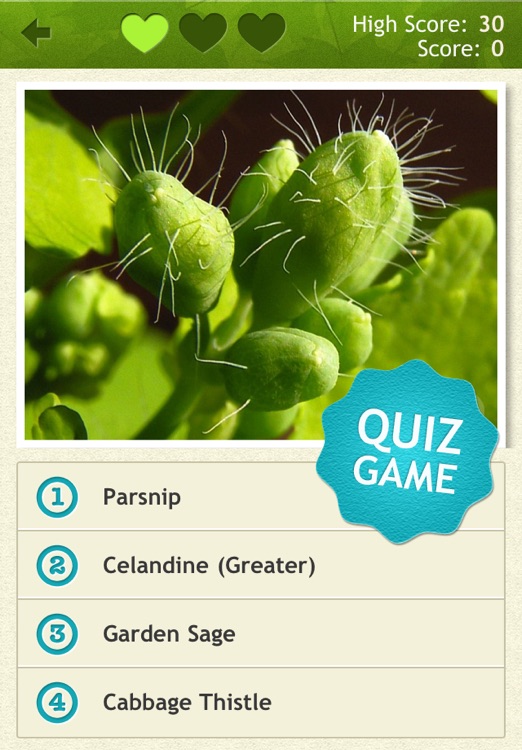 Medicinal Plants PRO - NATURE MOBILE screenshot-4