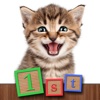 1st GAMES - Cute baby cats puzzle for kids