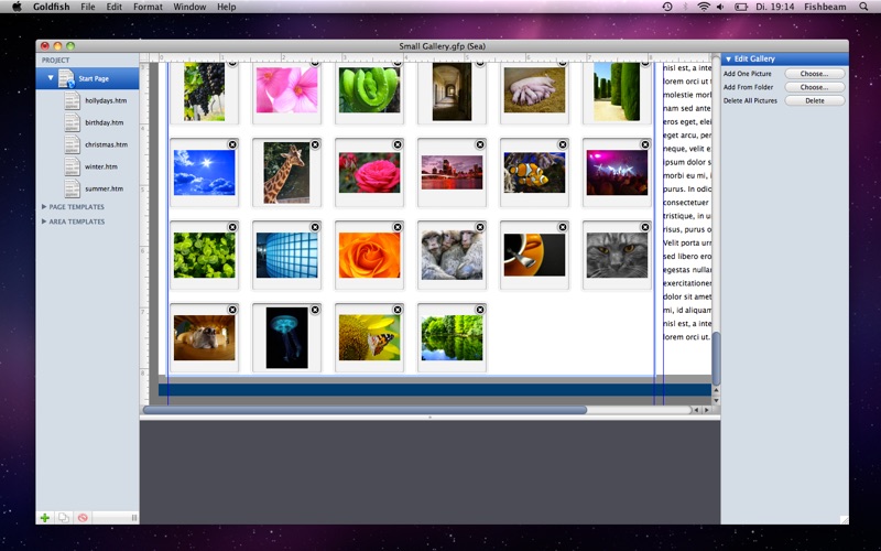 Goldfish 3 Standard Edition thumbnail 2