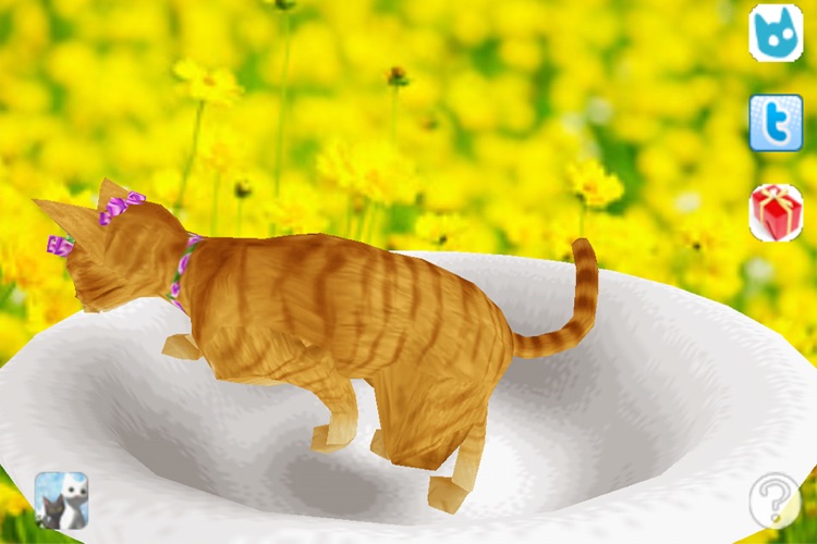 Savannah Petting cat 3D REAL Lite screenshot-4