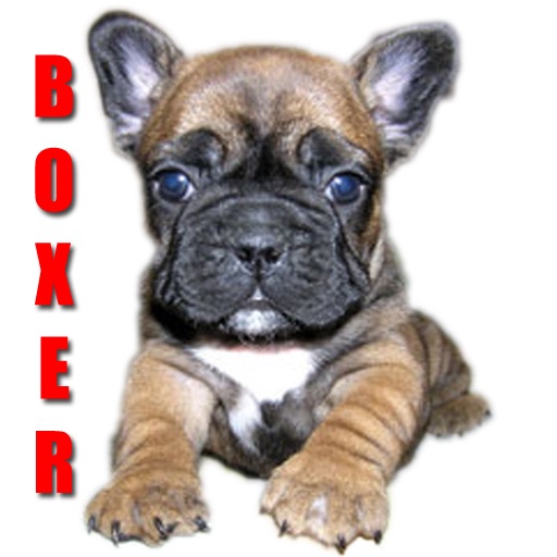 Boxers Dog Fun icon