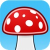 Mushroom Madness Adventure