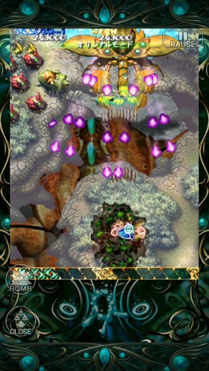 Bug Princess LITE screenshot-4