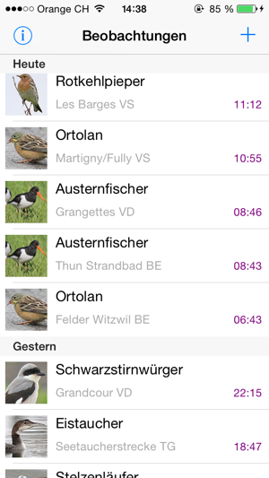 Swiss Bird Alert(圖1)-速報App