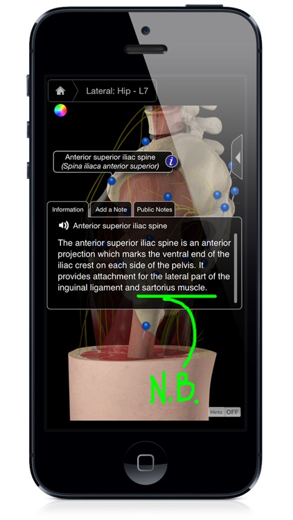 Hip Pro III with Animations - iPhone Edition