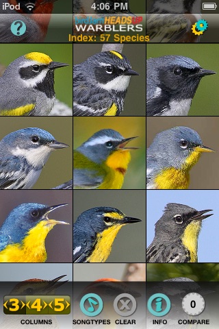 birdJam HeadsUp Warblers