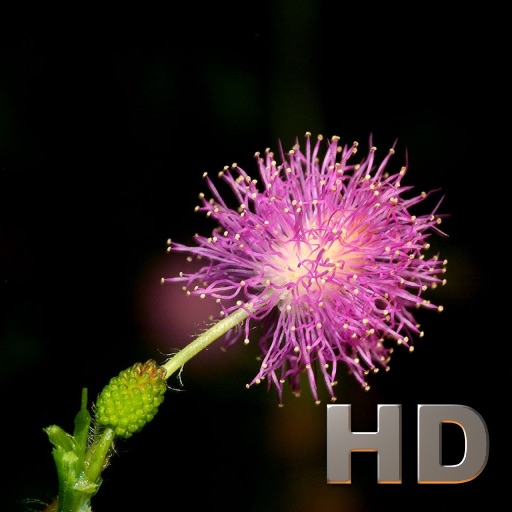 Plants Encyclopedia HD icon