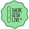 Sheregesh Live