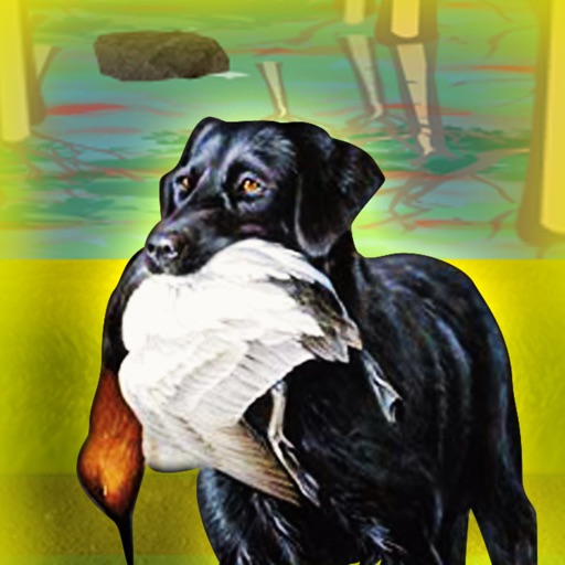 Dog Agility Hunters : The swamp hunt for ducks - Free Edition iOS App