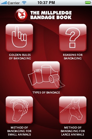 Bandage Book screenshot 2