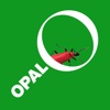OPAL Bugs Count Pocket ID Guide