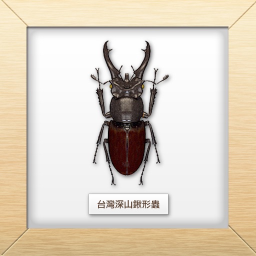 自然系圖鑑 台灣鍬形蟲 獨角仙精選 Naturesys Com Iphone Ipad Game Reviews Appspy Com