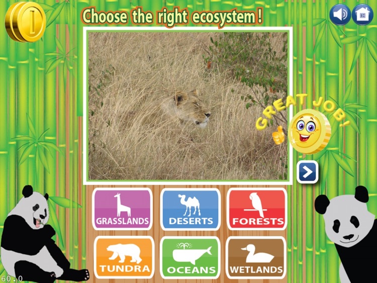 Ecosystems HD