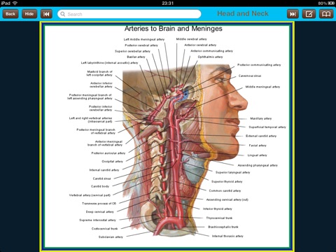 Atlas of Anatomy for iPad screenshot 3