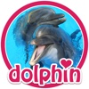 Dolphins - dive into their world!