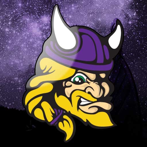 Skol Vikings Icon