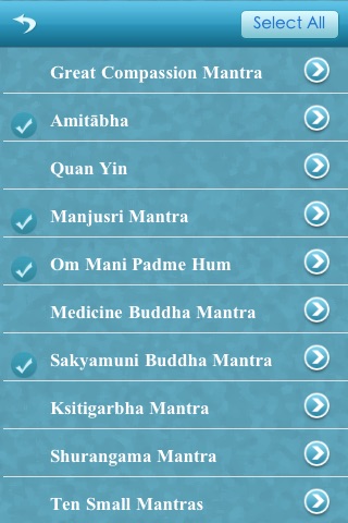 Buddhist Meditation screenshot 3