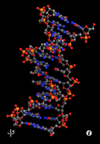 Molecules