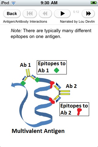 Guide to Immunology