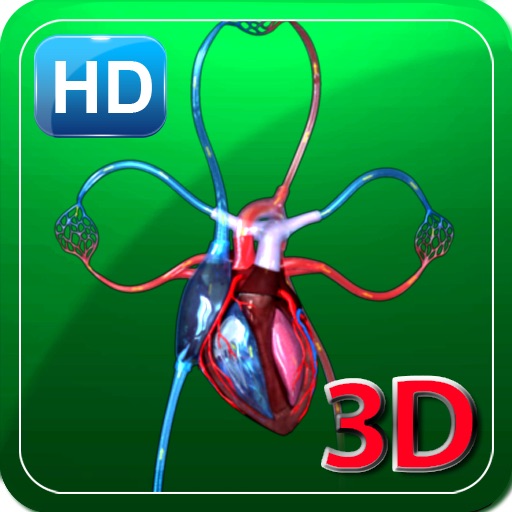 3D Human Blood Circulation HD