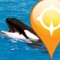 Explore SeaWorld Orlando with the new PacMaps SeaWorld map and guide with GPS locator