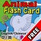 ★ Fun ★ Cute ★ Flash Cards