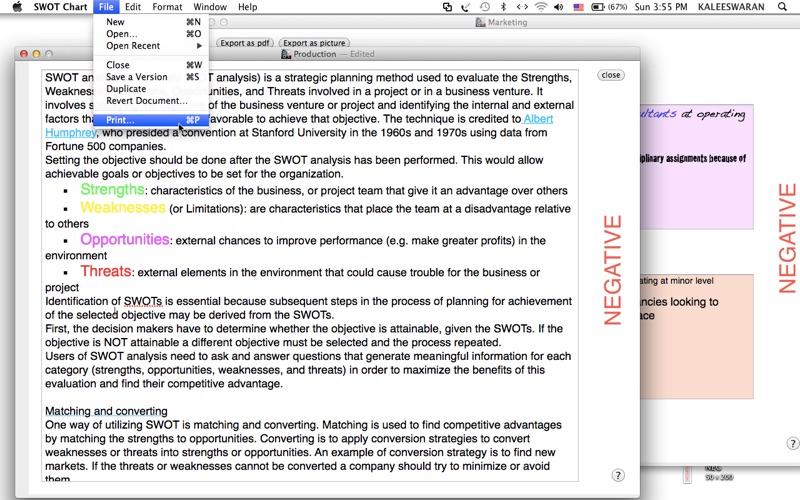 SWOT Chart thumbnail 2
