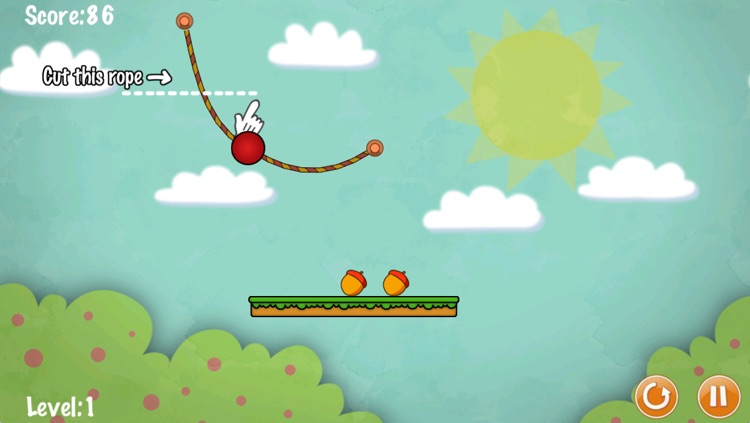 Nuts Physics Lite